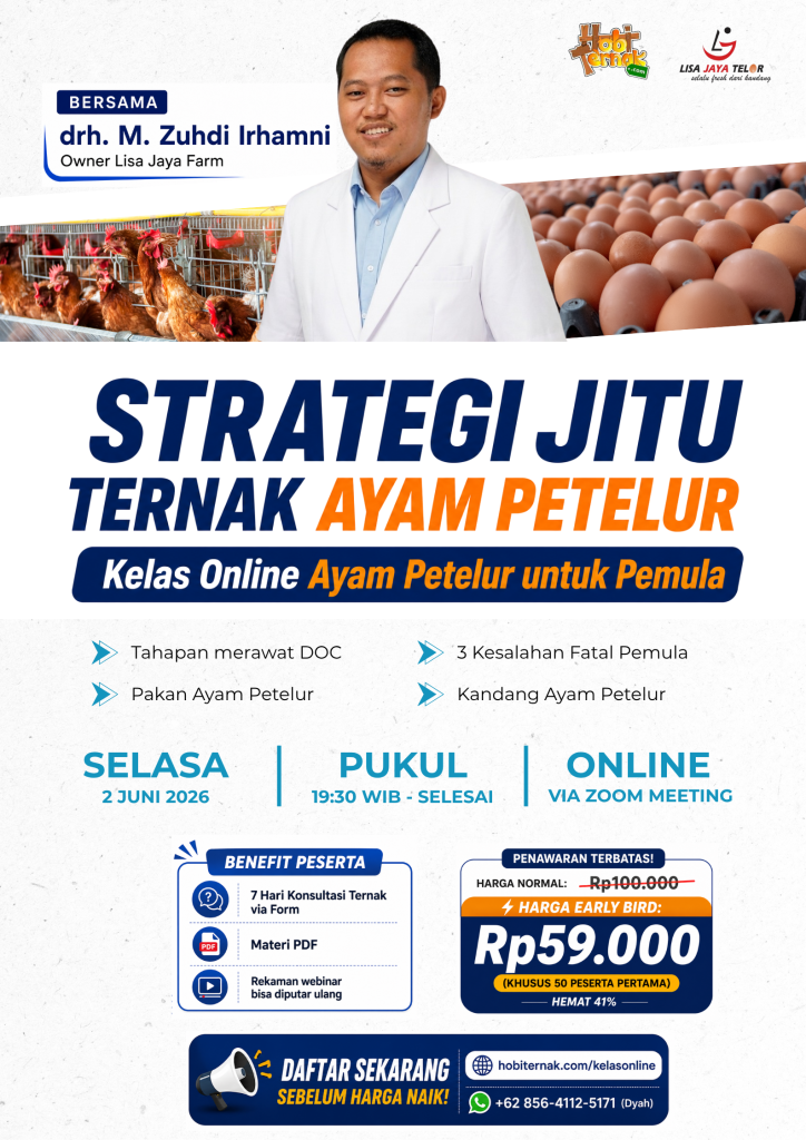 Webinar Ayam Petelur