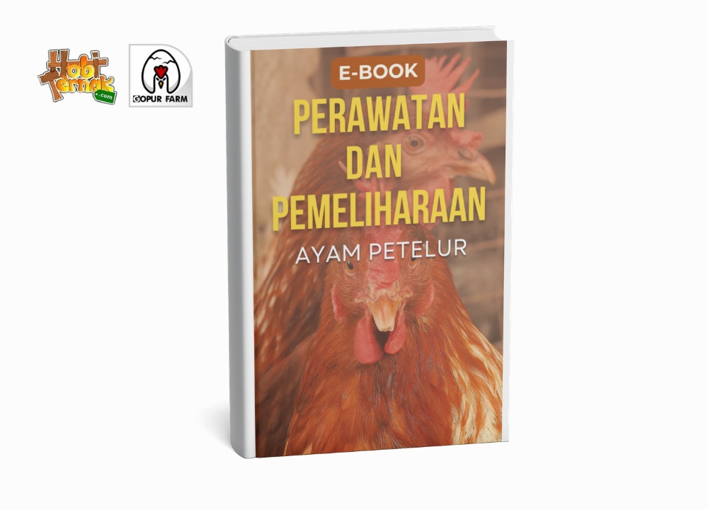 Ebook Perawatan dan Pemeliharaan Ayam Petelur Panduan lengkap untuk membantu peternak memahami manajemen ayam petelur secara lebih optimal.