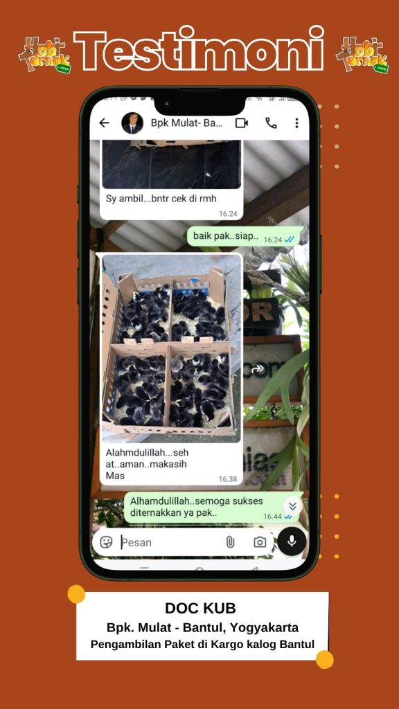 Testimoni DOC KUB Bapak Mulat Bantul Yogyakarta