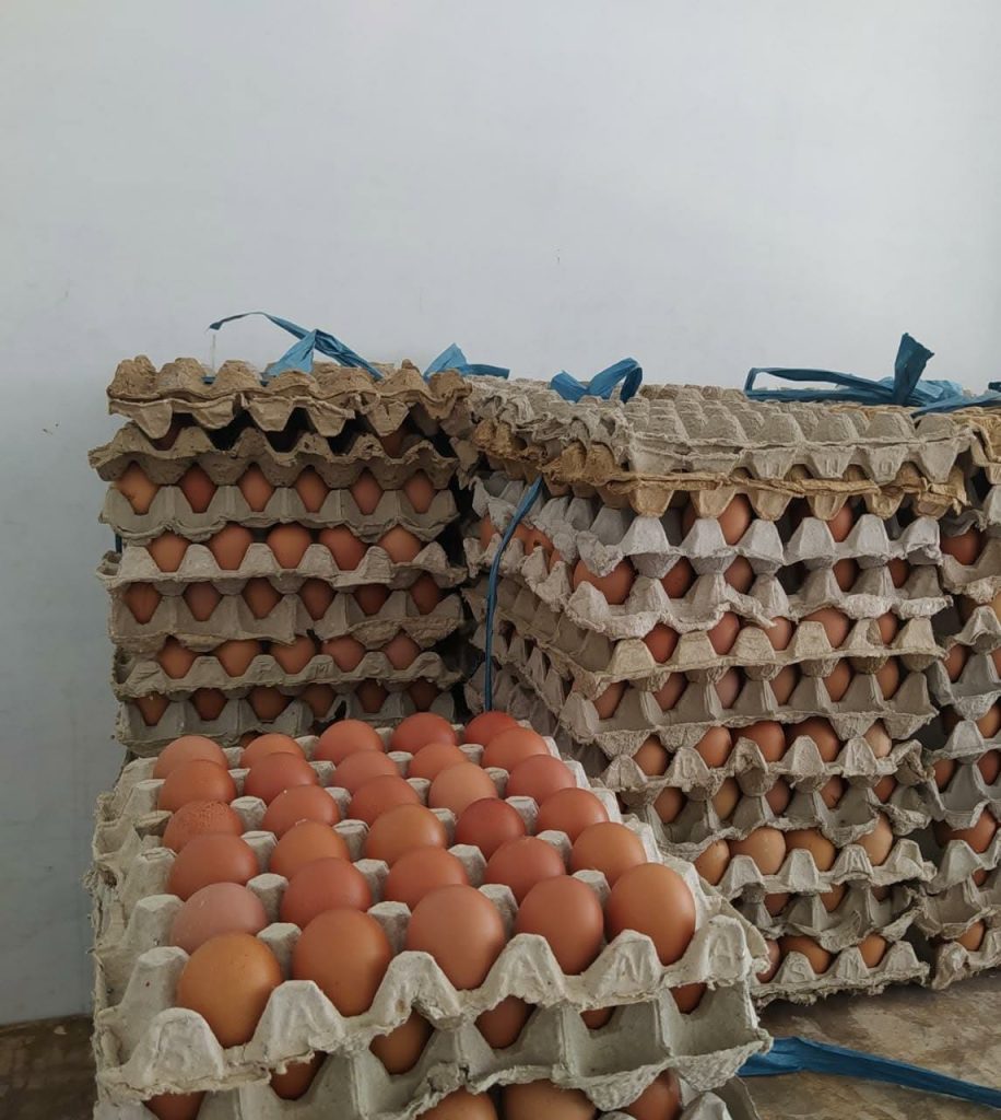 menyediakan berbagai jenis telur