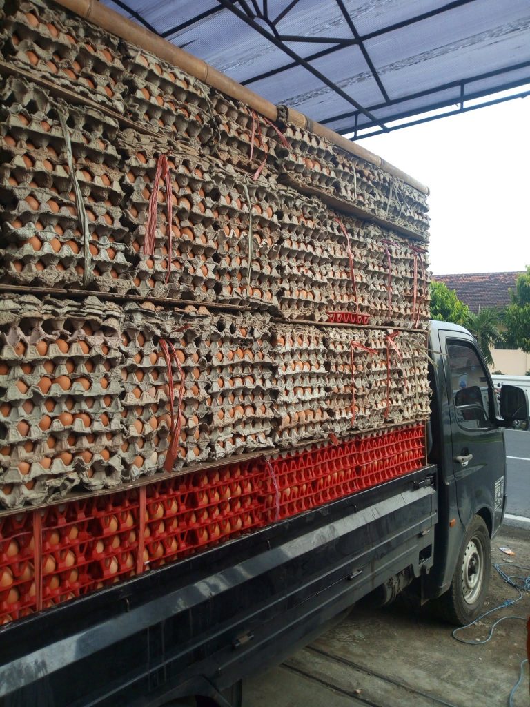 Telur yang selalu fresh