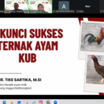 Webinar 5 Kunci Sukses Ternak Ayam KUB Sukses Digelar