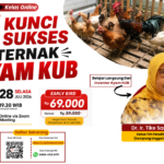 Webinar Ayam KUB: 5 Kunci Sukses Ternak Ayam KUB