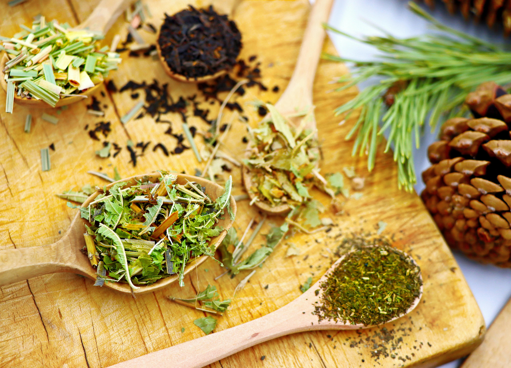 Cara Membuat Jamu Herbal untuk Ayam KUB