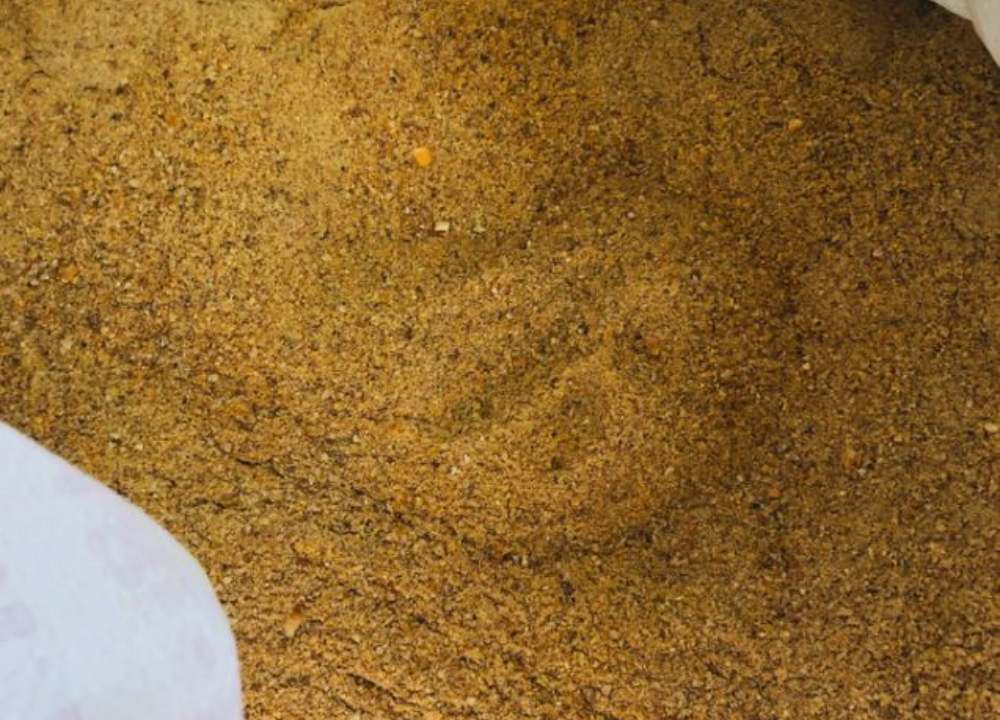 Cara Menghemat Biaya Pakan Ayam KUB Tanpa Mengurangi Nutrisi