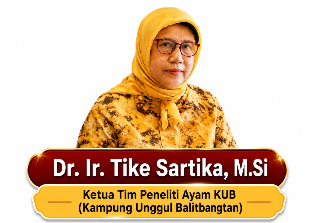 Profil Dr. Ir. Tike Sartika, M.Si.: Peneliti Ayam KUB dan Pakar Perunggasan Indonesia