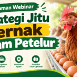 [Video] Recording Webinar Strategi Jitu Ternak Ayam Petelur