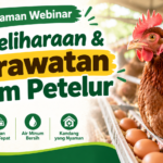 [Video] Recording Webinar Pemeliharaan dan Perawatan Ayam Petelur