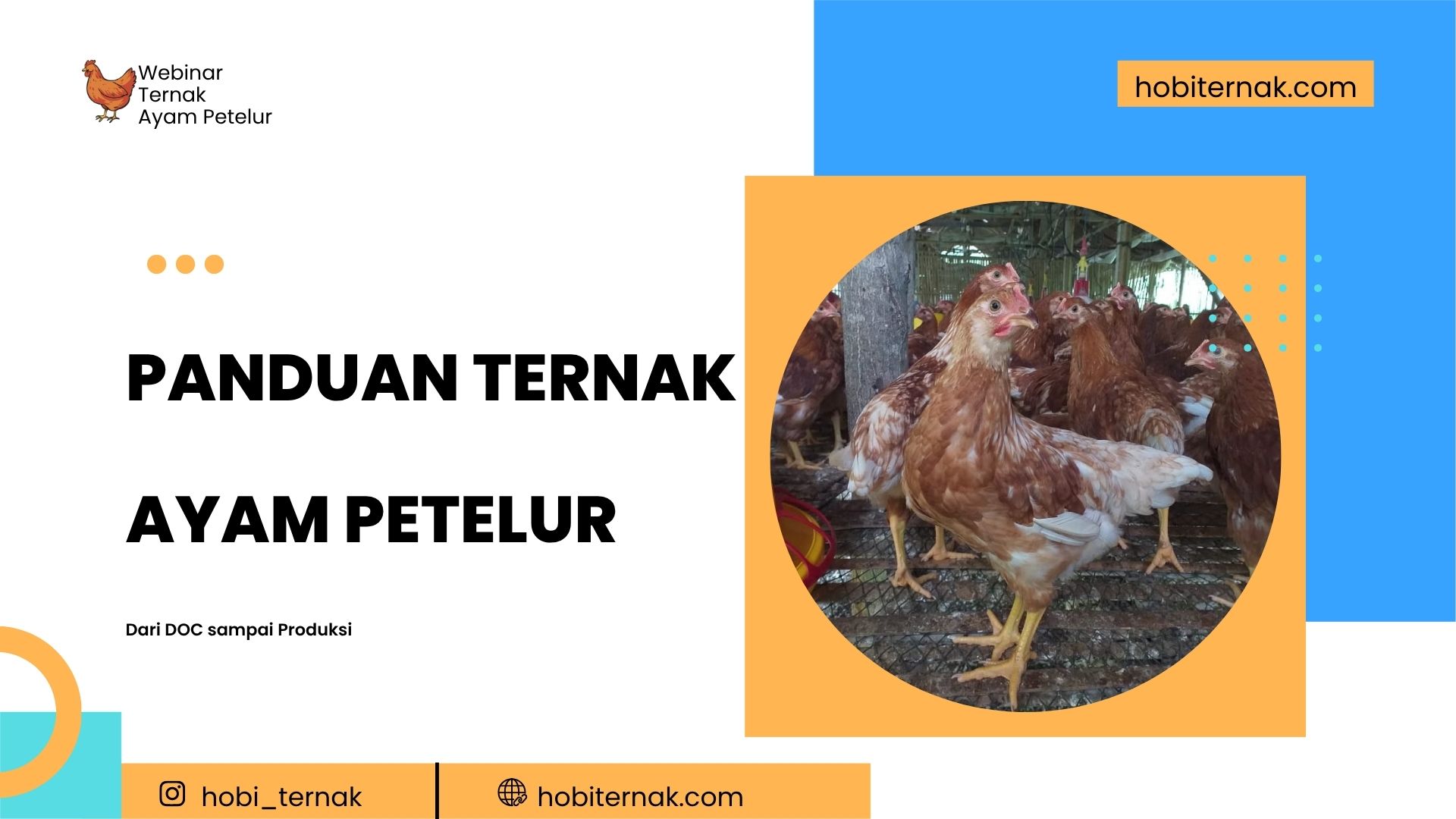 Modul 1