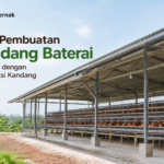 Jasa Pembuatan Kandang Baterai