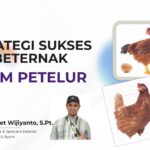 [PDF] Materi Webinar Bongkar Strategi Ternak Ayam Petelur