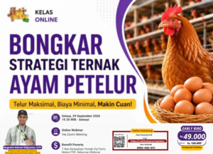 Webinar Ayam Petelur: Bongkar Strategi Ternak Ayam Petelur