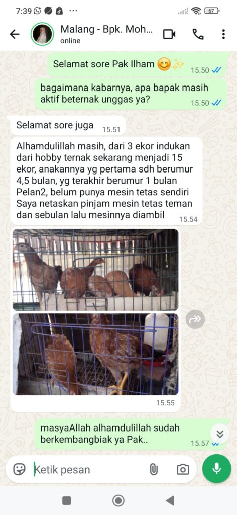 Bapak Mohamad Ilham menceritakan perkembangan ternaknya setelah memulai dari 3 ekor ayam HobiTernak.