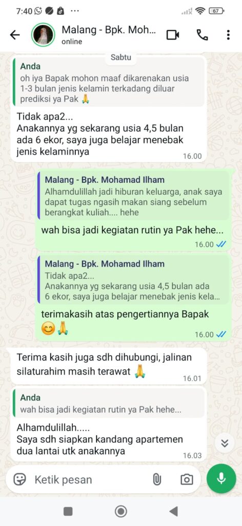Kandang dua lantai yang disiapkan Bapak Mohamad Ilham untuk anakan ayam Elba miliknya.