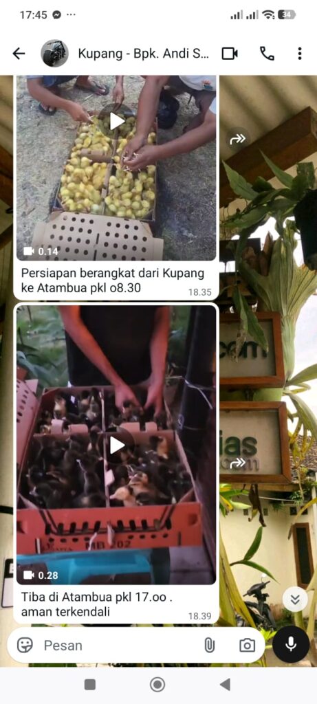Testimoni Bpk Andi Suwignjo