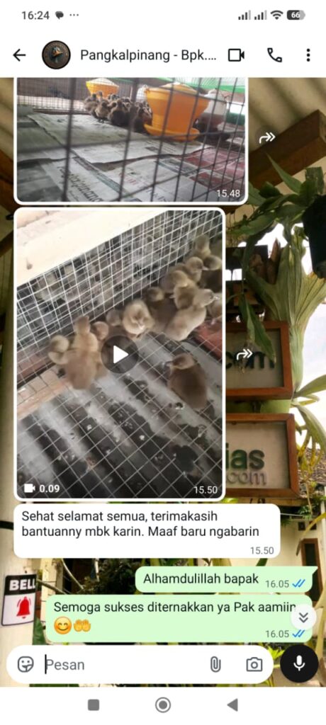 Testimoni DOD Bebek Mojosari Bpk Agra Pangkalpinang